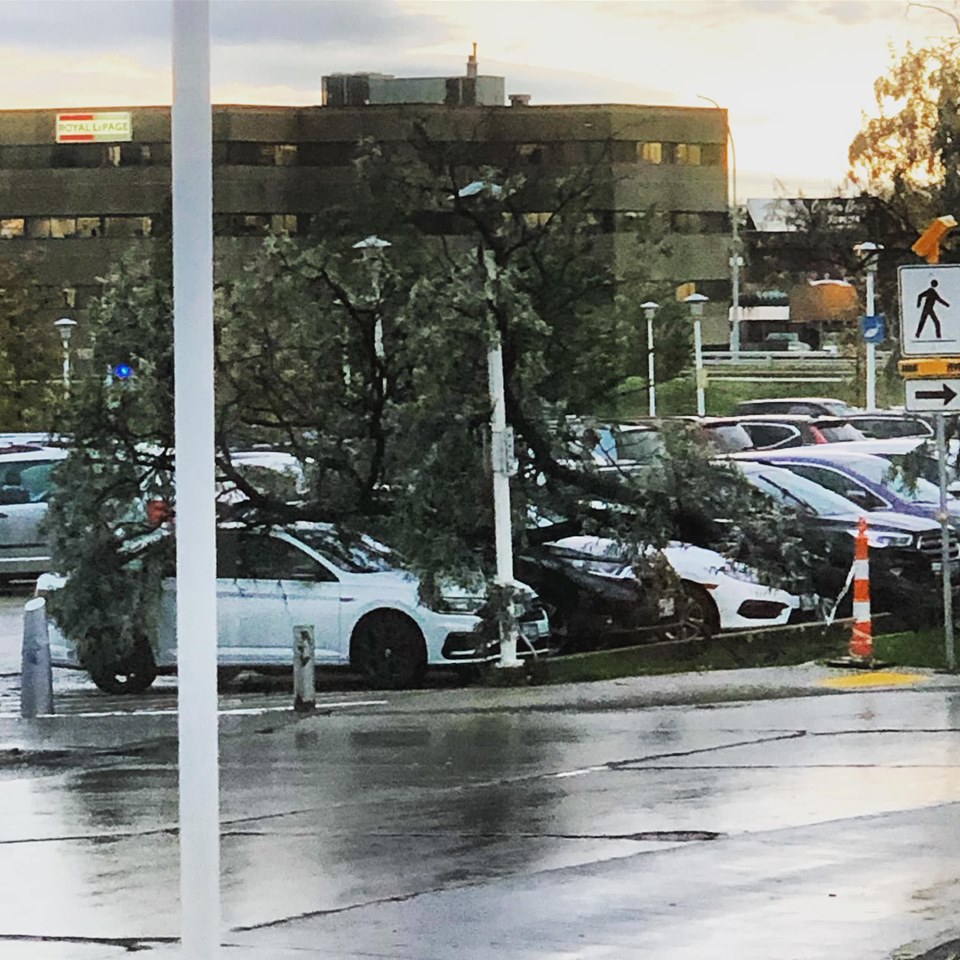 Vehicles in the Grace Hospital parking lot were damaged after a tree fell Friday. Crystal Davis/Submitted.