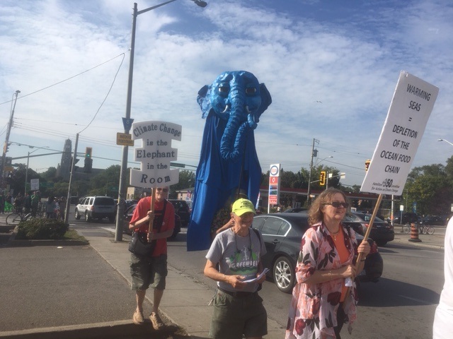 Demonstrators have marchers from Hamilton's west end to city hall to demand climate action.