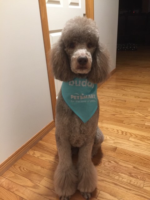 A supplied photo of Coffee in his Regina home.