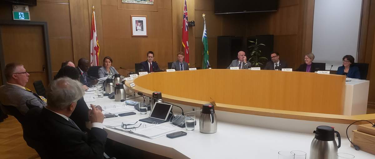Peterborough City Council hears of progress of police strategic plan.