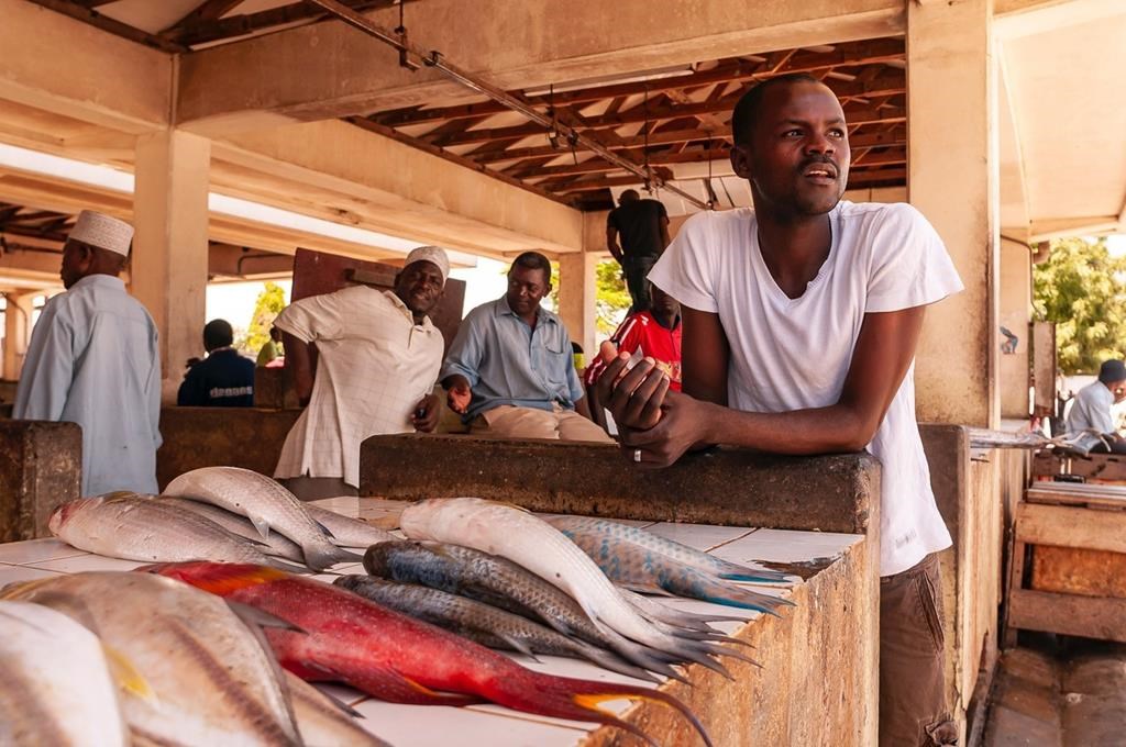 A vendor stands in a fish market in a coastal town along the Indian Ocean in a handout photo. New research says providing millions of people in poor nations access to the fish off their own coasts could reduce malnutrition caused by lack of nutrients like iron, zinc and calcium.