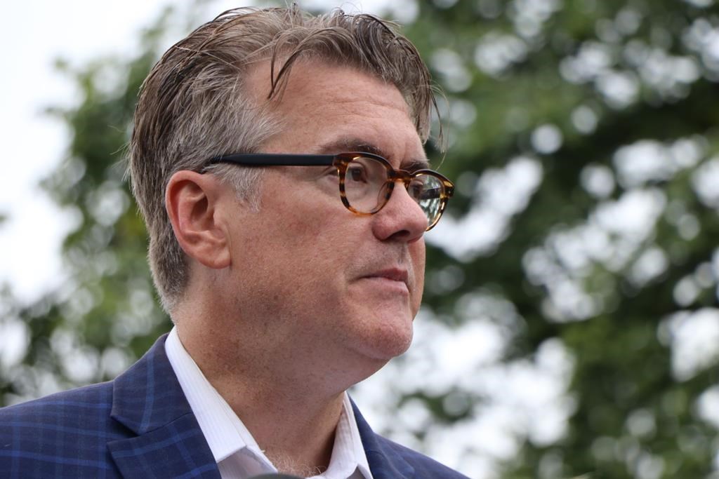 Manitoba Liberal Leader Dougald Lamont says he'll put more money into French-language education and services if elected premier.