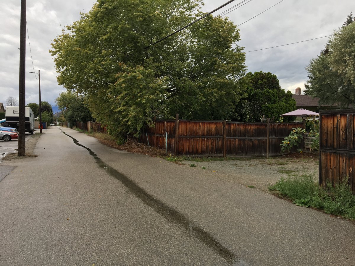 The alley in Kelowna's Rutland area where a dead kitten was found hanging with a string around its neck Monday morning. 