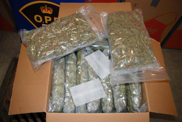 OPP say 426 pounds of cannabis were seized.