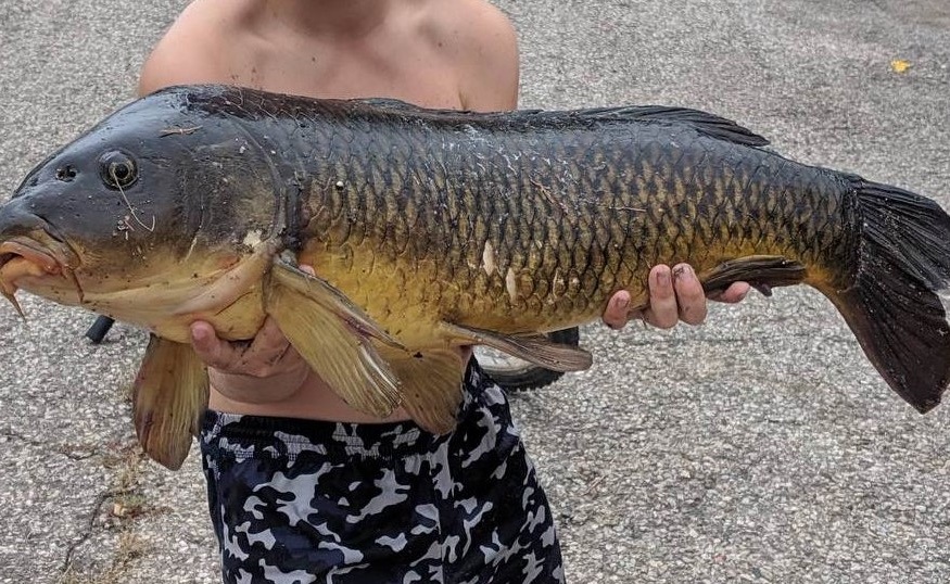 Guelph police say an 11-year-old boy caught a massive fish while skipping school on Monday. 