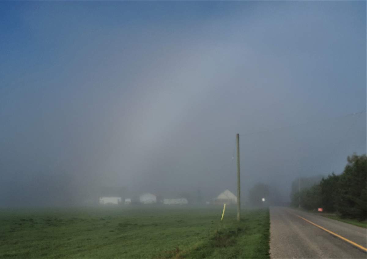 Fog-bow in Spallumcheen this morning - Susan Wilson.