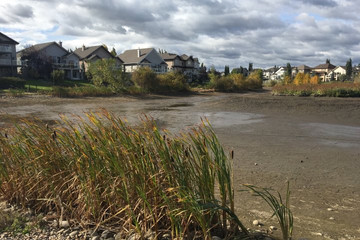 Edmonton to track down, bill those not paying for stormwater services