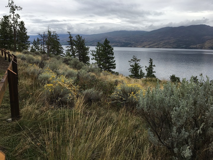 A view from Goats Peak Regional Park in West Kelowna, which was officially opened on Wednesday.