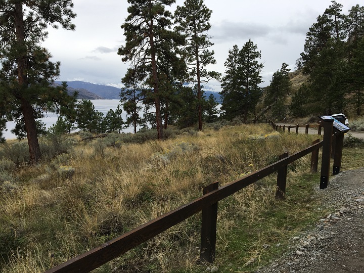Goats Peak Regional Park is 52 hectares in size and overlooks Okanagan Lake.