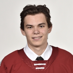 #17 Pavel Gogolev – forward