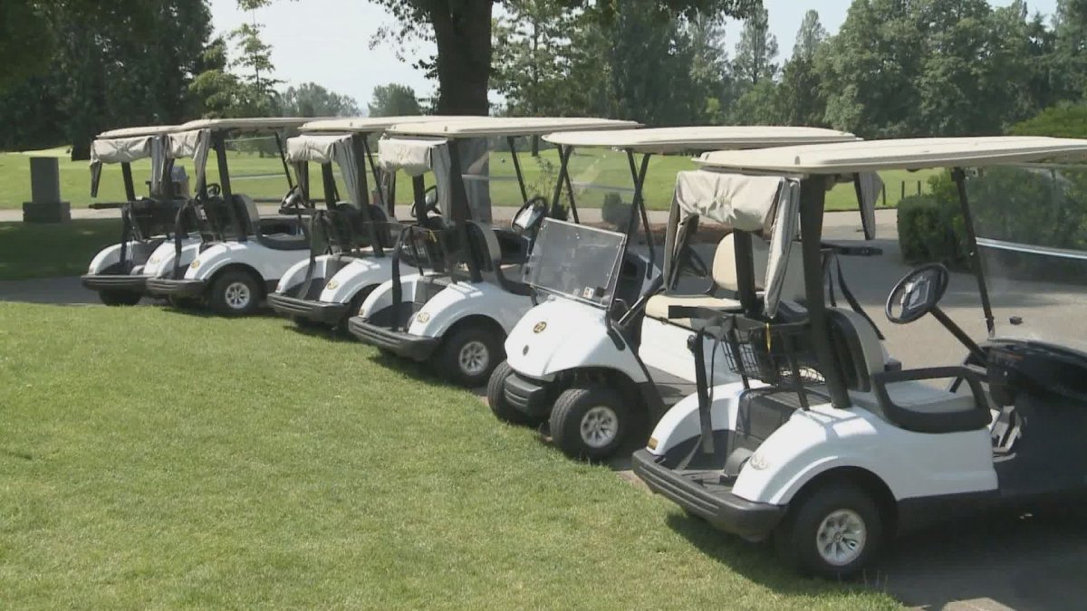 City of Winnipeg moves to all electric golf carts - image