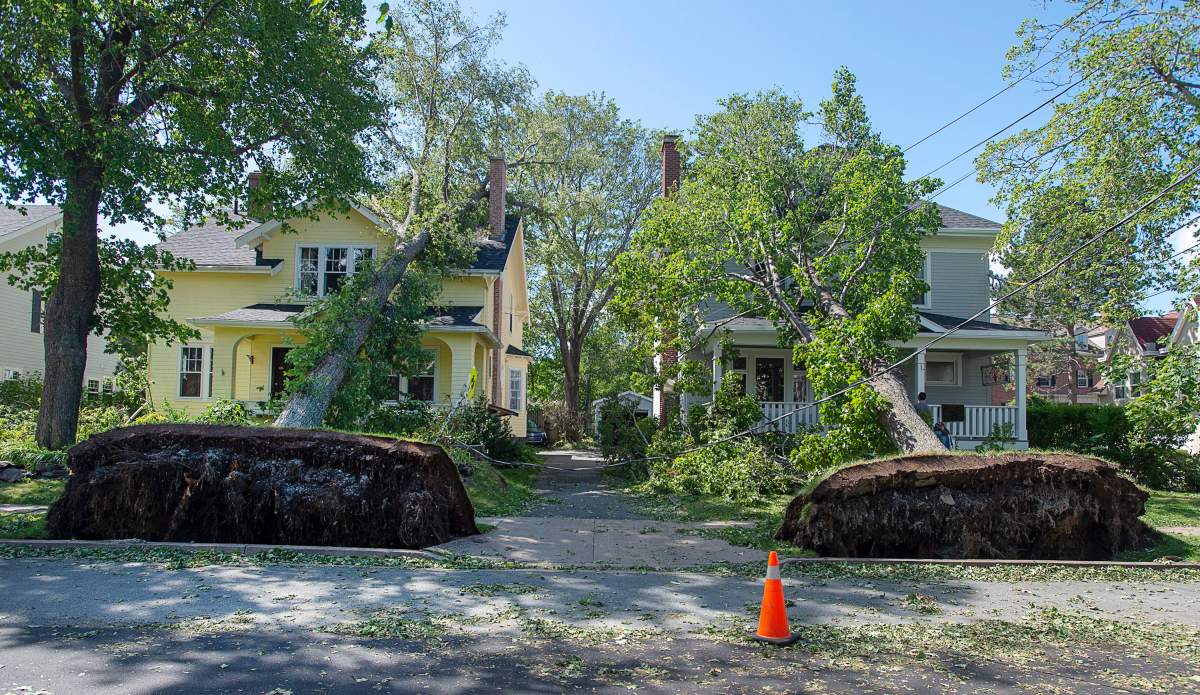 Two fallen trees rest on neighbouring houses in Halifax on Sunday, Sept. 8, 2019 after hurricane Dorian.