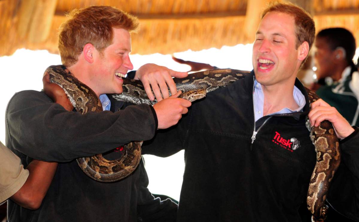 Prince Harry and Prince William visited the Mokolodi nature reserve near Gaborone, Botswana, in 2010.