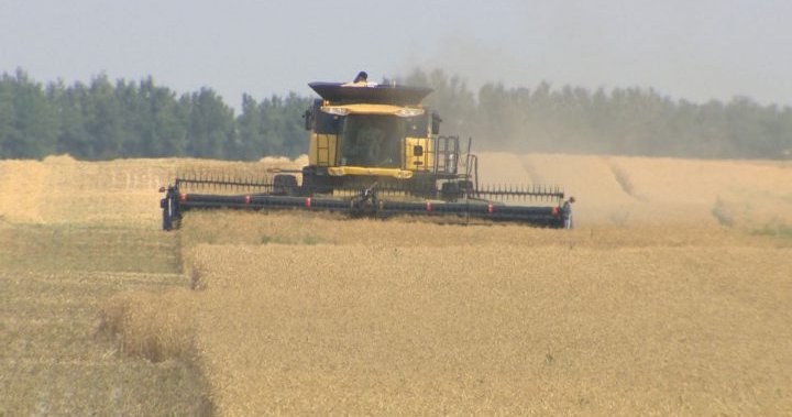 Little precipitation allows Saskatchewan producers to wrap up 2021 harvest