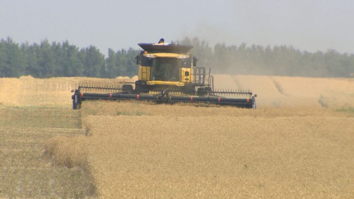 Saskatchewan producers still working to get crop off this season