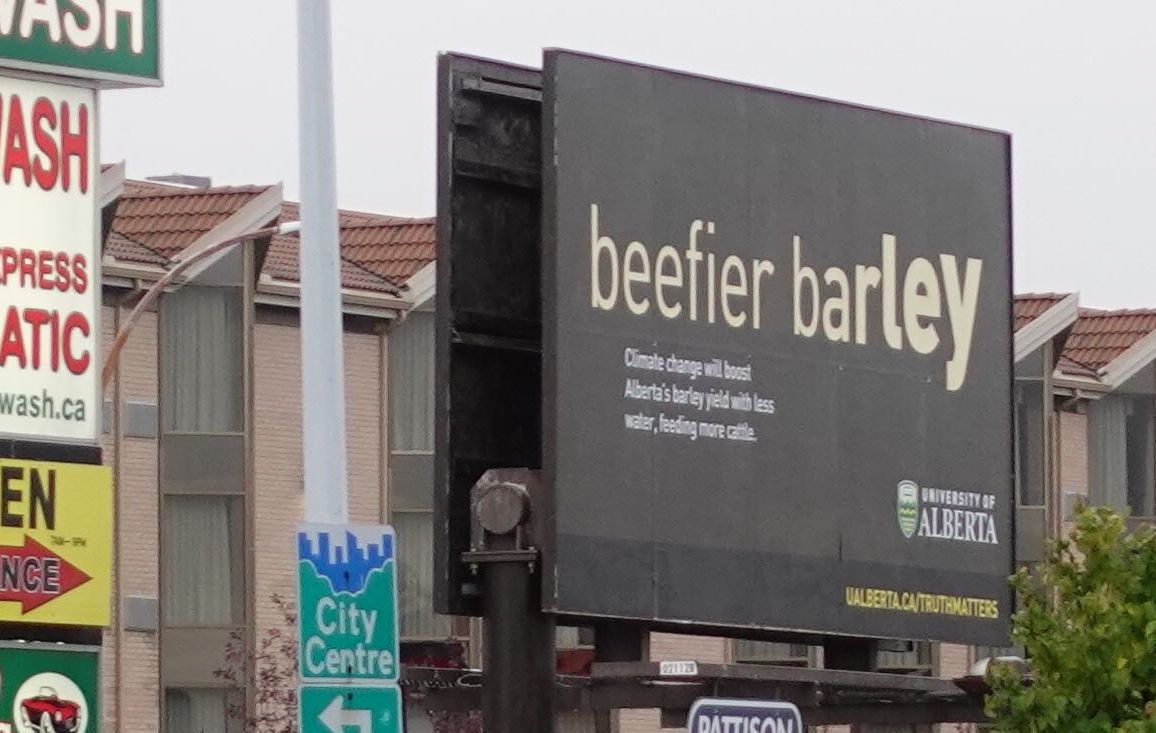 A billboard in Edmonton highlighting University of Alberta research on how climate change may benefit the barley growers and the beef industry. Thursday, September 26, 2019.