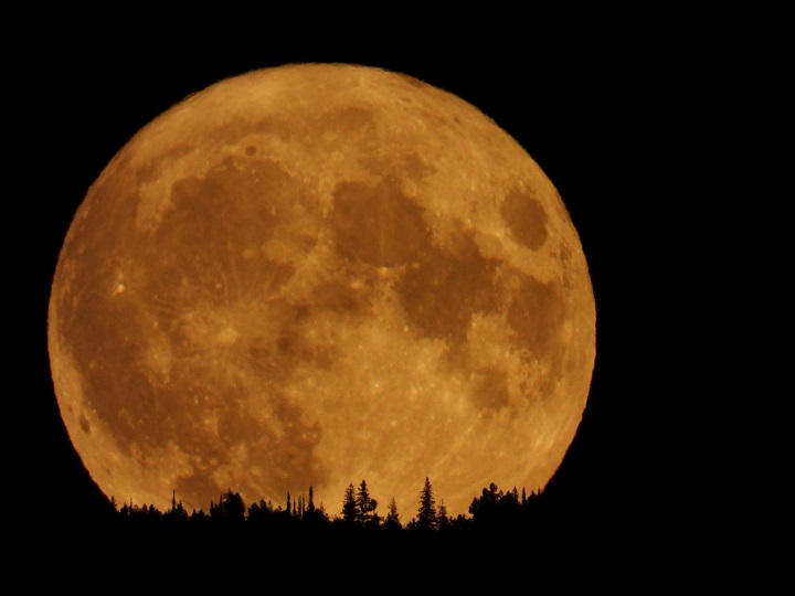 A bright harvest moon loomed over the Okanagan on Friday night.