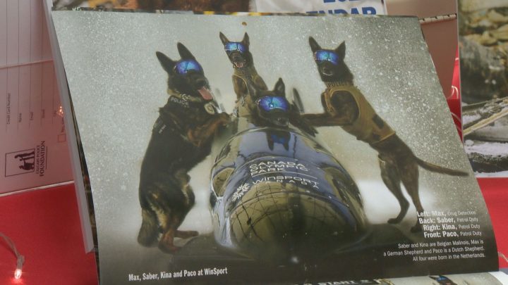 Calgary Police Service launches 2020 K9 calendar to support youth