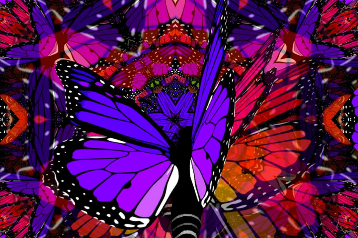 MONARCH by Nik Harron will be on display in Waterloo on Saturday night.