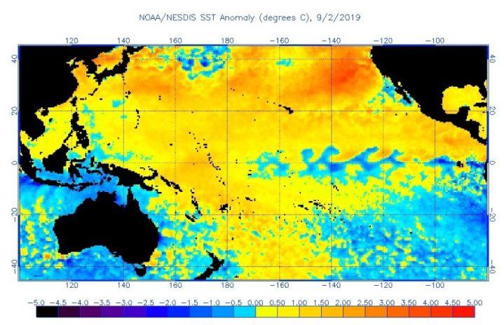 Return of ‘the Blob?’ New marine heatwave off B.C. coast raises ...