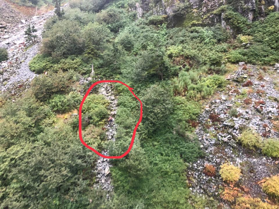 A lost hiker is spotted from a helicopter near Crown Mountain on Saturday. 