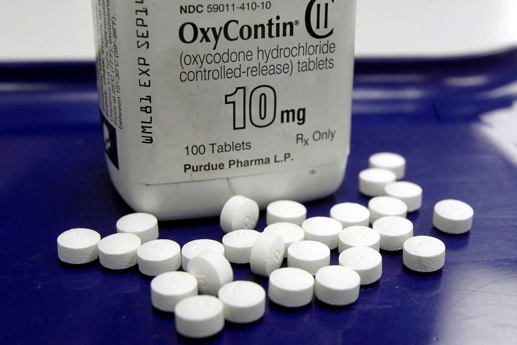 The suit seeks to recover costs from manufacturers and distributors dating back to 1996, when the pain drug OxyContin was introduced in the Canadian market.