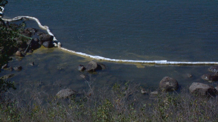 The oil amounted to between 3,500 and 4,500 litres and entered the river through Lethbridge’s stormwater drainage system.