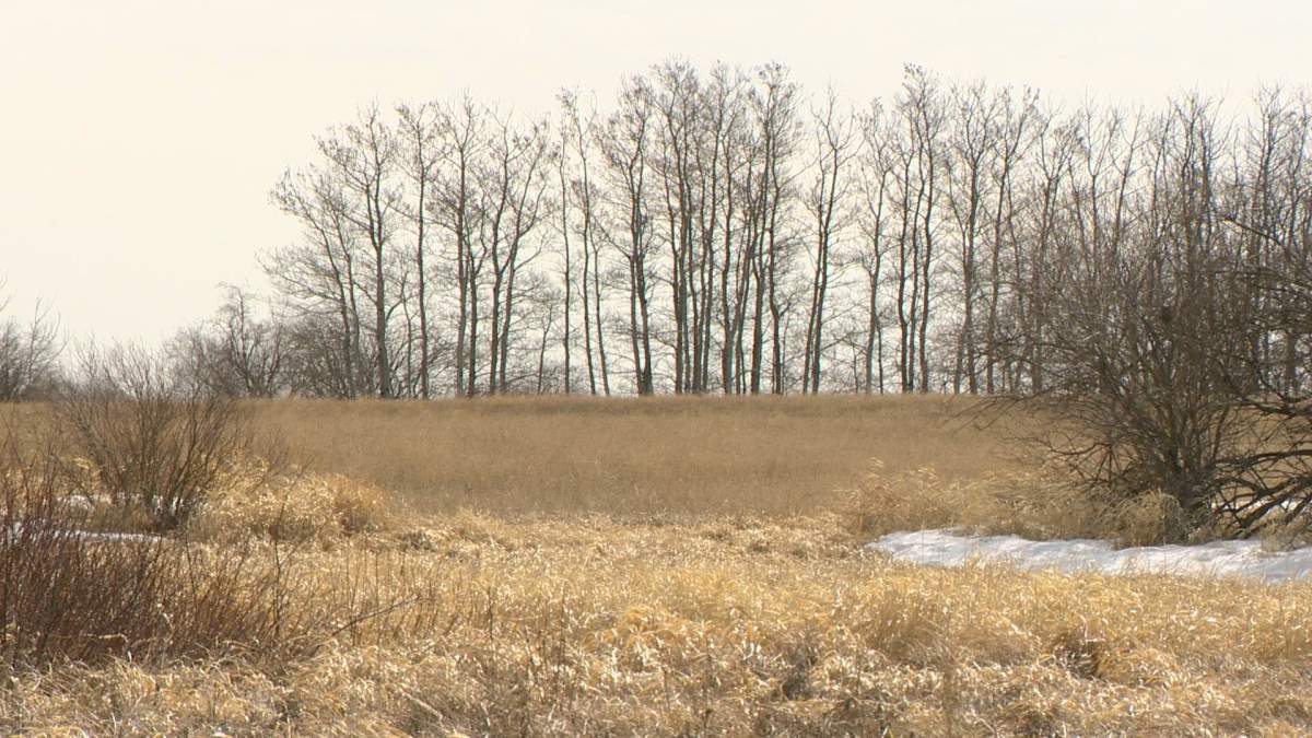 Public Pastures — Public Interest expressed its concerns regarding the Saskatchewan government's recent conditional approval of the Albany Potash Project. 