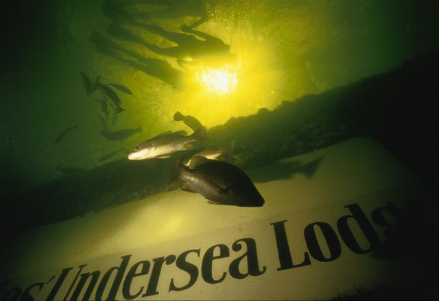 The crew will spend five days in an undersea lodge off the Florida Keys.