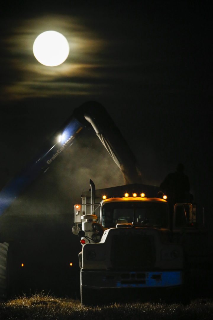 In this file photo, the Reid family harvest their wheat crop under a harvest moon near Cremona, Alta., Monday, Sept. 28, 2015.
