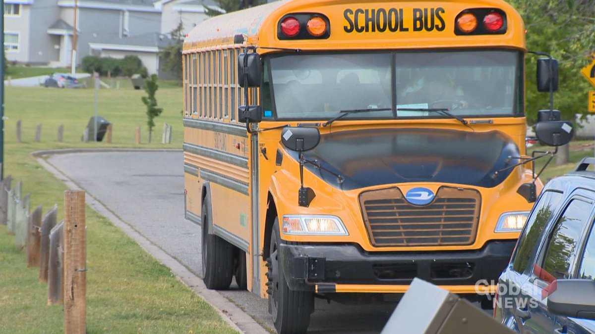 Both Hamilton's public school boards are looking at changing bell times to compensate for bus driver shortages.