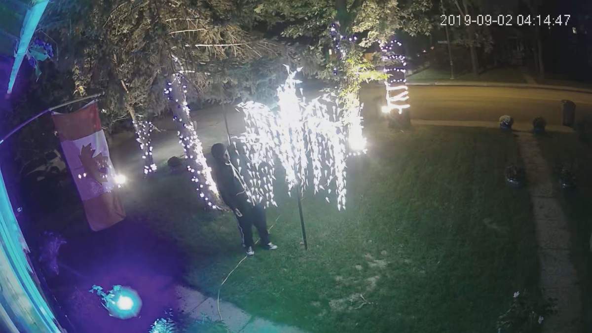 A surveillance video appears to show a man about to steal an LED willow tree from Roch Dupont’s yard on Sept. 2, 2019.