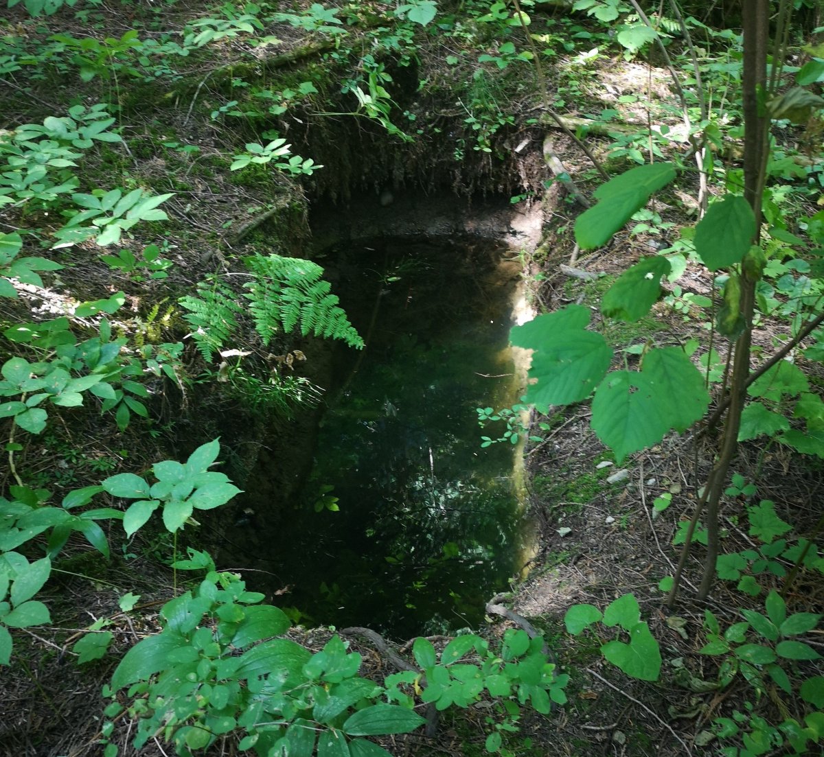 A pit filled with liquid found by an advocate for missing women and a family member during a search for Caitlin Potts in August. 