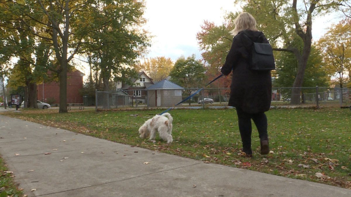 Laura Palma says she was attacked by two dogs who were off-leash last Wednesday.