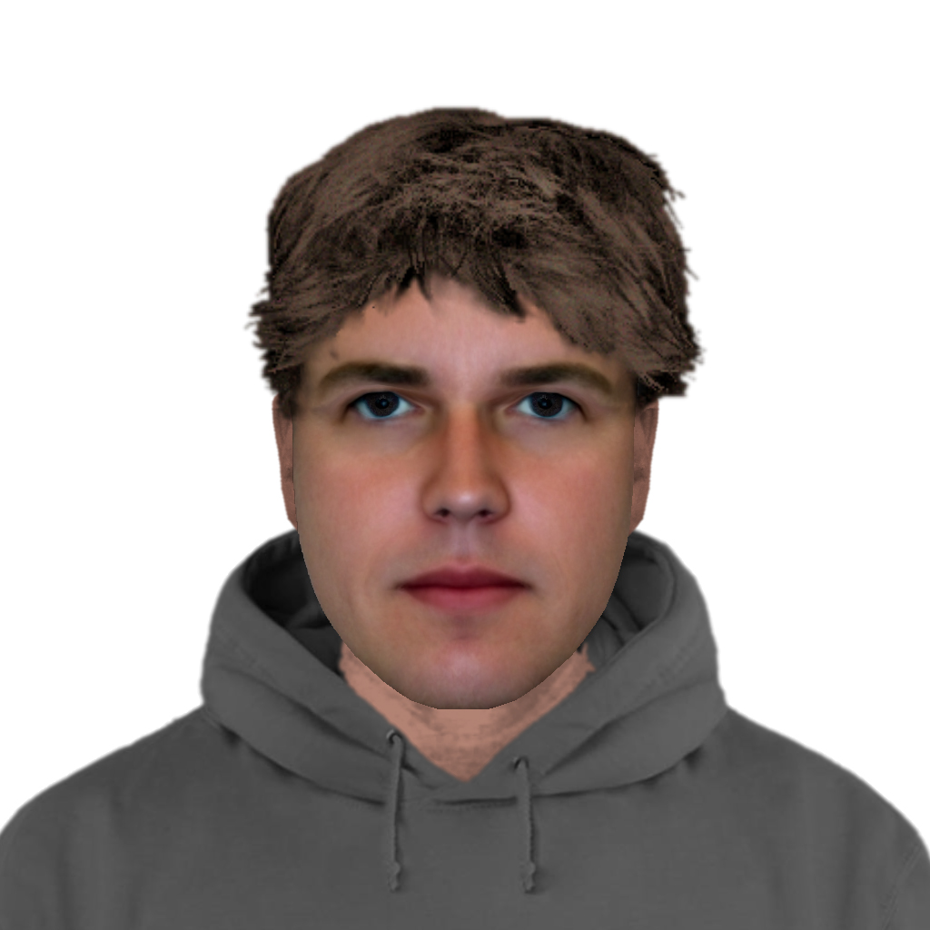 Brantford police have released a composite sketch of a suspect in a reported sexual assault that took place in the city last month.