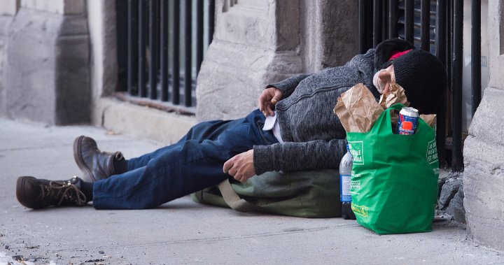 Homeless hubs plan receives endorsement from London, Ont. councillors – London | Globalnews.ca