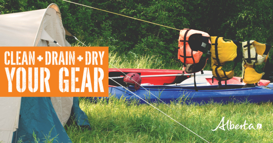 Alberta Parks saiid the Clean, Drain and Dry practices provide simple and effective direction on how to prevent the spread of whirling disease and aquatic invasive species.