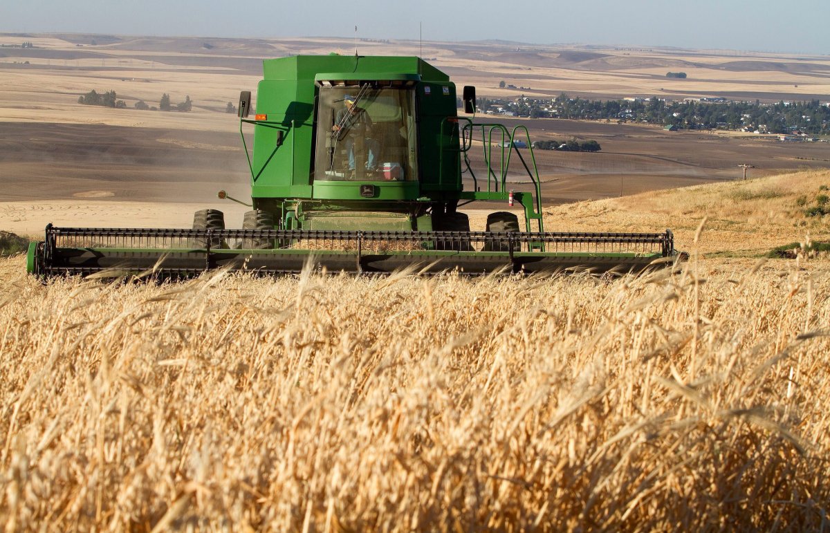 The latest report from the province says harvest progress in Manitoba is estimated at 85 per cent complete.