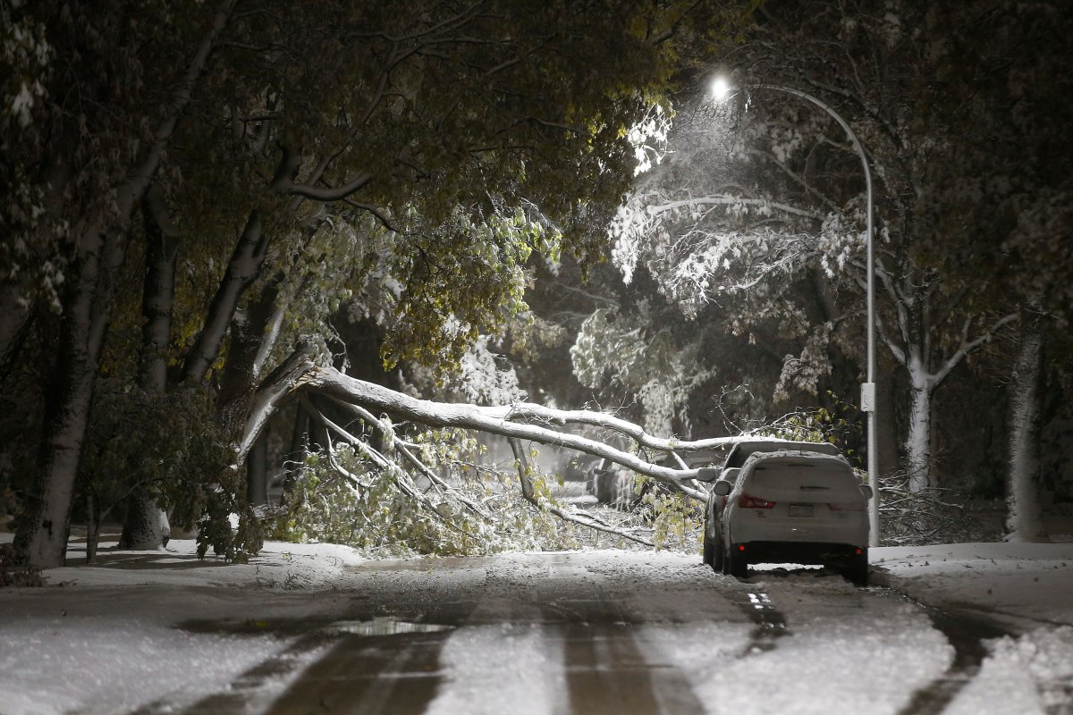 An early winter storm with heavy wet snow caused fallen trees, many on cars, and power lines in Winnipeg early Friday morning, October 11, 2019.