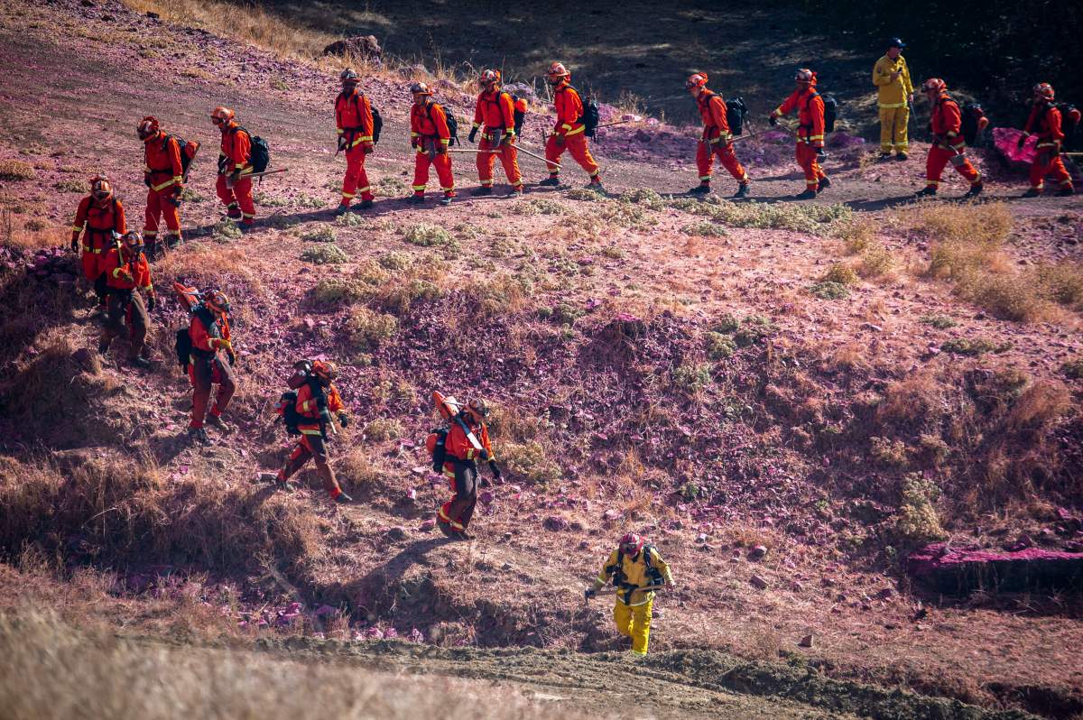 Cal Fire and inmate crews walk the fire line while fighting a wildfire in Sonoma County near Geyserville on Thursday, Oct 24, 2019.