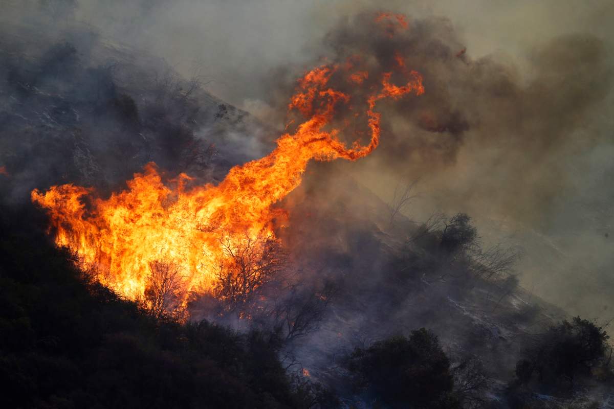 The Getty fire burns in Mandeville Canyon on Monday, Oct. 28, 2019, in Los Angeles. (AP Photo/Marcio Jose Sanchez)