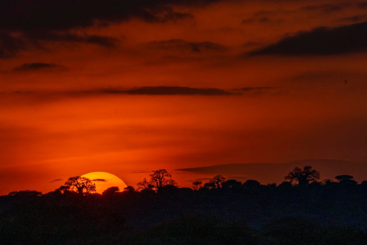The sun sets on Tanzania's Tarangire National Park on Saturday July 6, 2019. Climate change is expected to play havoc with already fragile African countries, prompting more calls for help from the Canadian military, warns an internal Defence Department analysis. THE CANADIAN PRESS/AP, Jerome Delay.