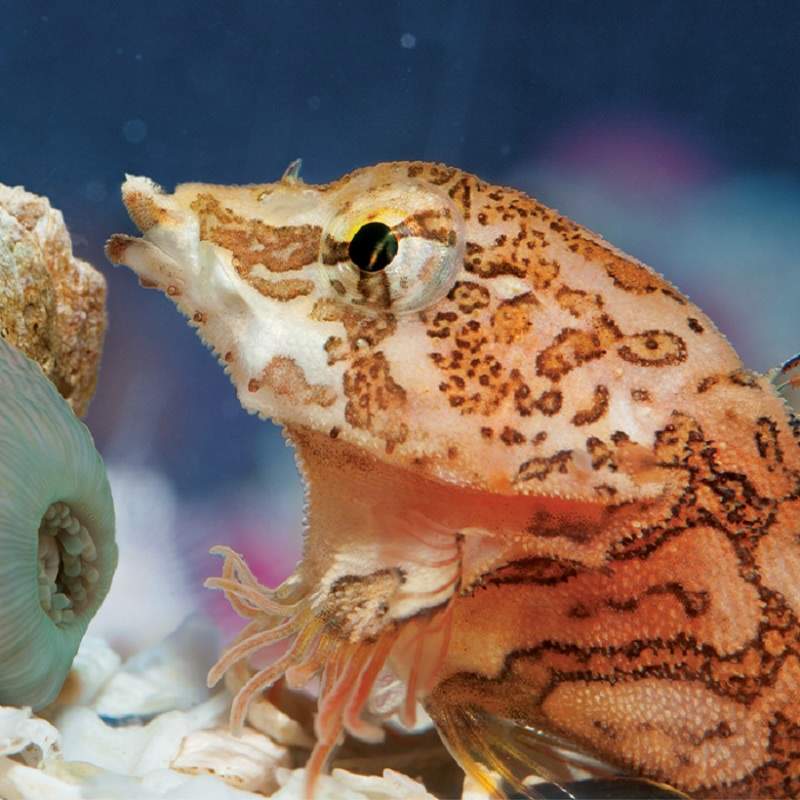 Teachers get 50% off at the Vancouver Aquarium this World Teachers’ Day! - image