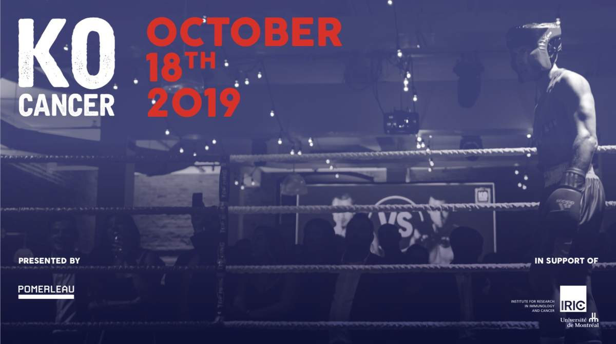 Knockout Cancer - image