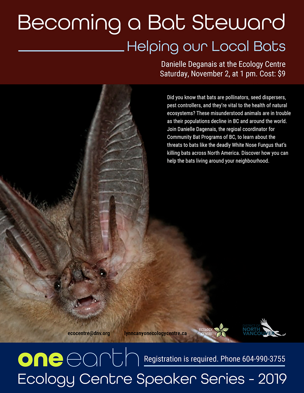 a Bat Steward GlobalNews Events