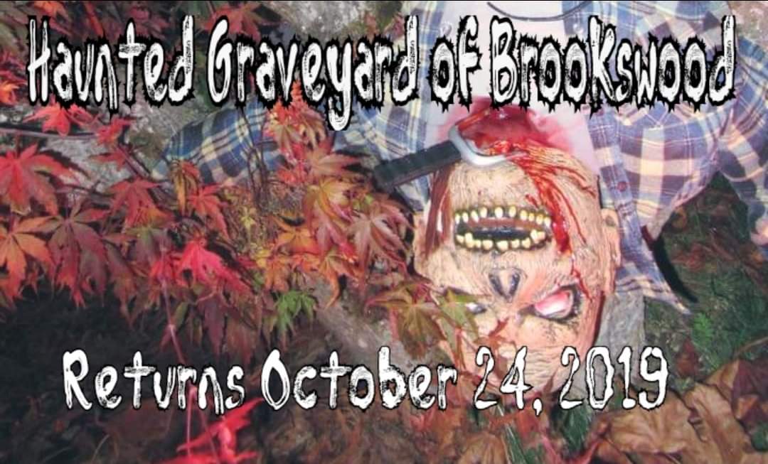 The Haunted Graveyard of Brookswood - image