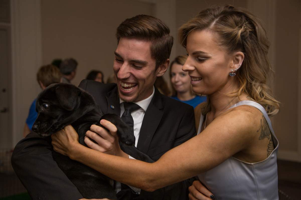 BC SPCA Offleashed Victoria Gala: For the animals - image