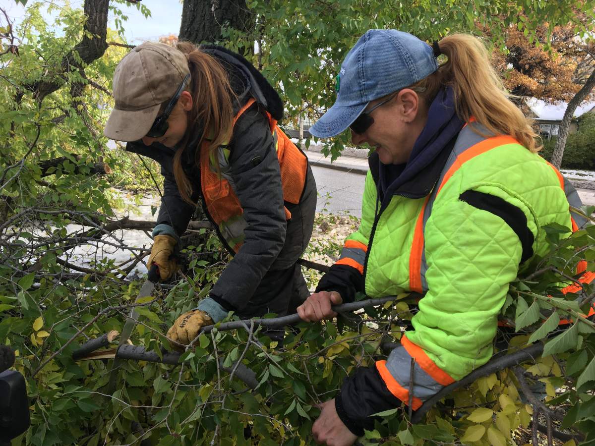City of Winnipeg workers cleaning up fallen trees on Monday on St. Marys Road.