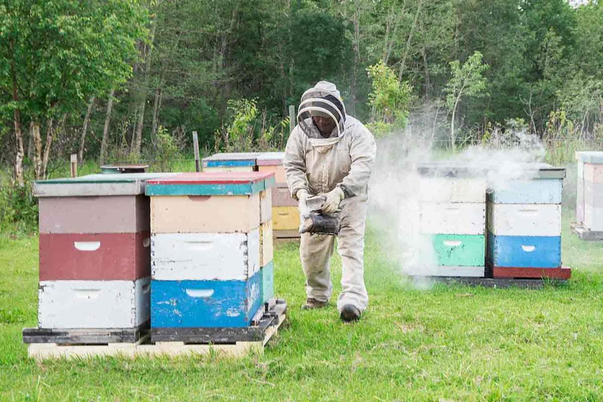 Demetrios Giannitsios Photography