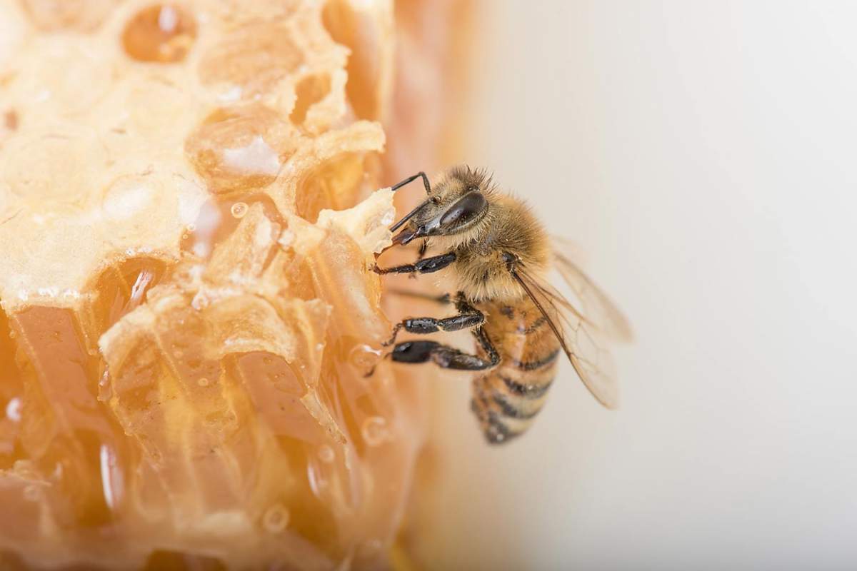 Demetrios Giannitsios Photography